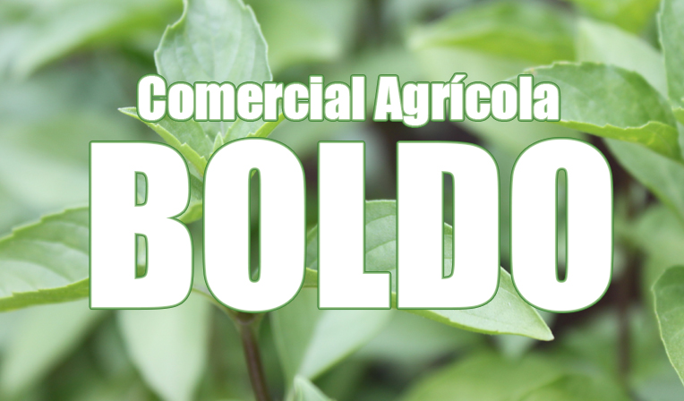 Comercial AgrÃ­cola Boldo